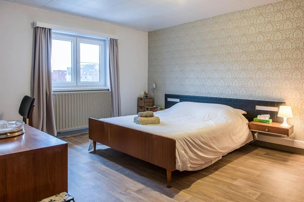 Vakantiewoning In Mol Centrum Met Eigen Bar "Casacuriosa" Экстерьер фото
